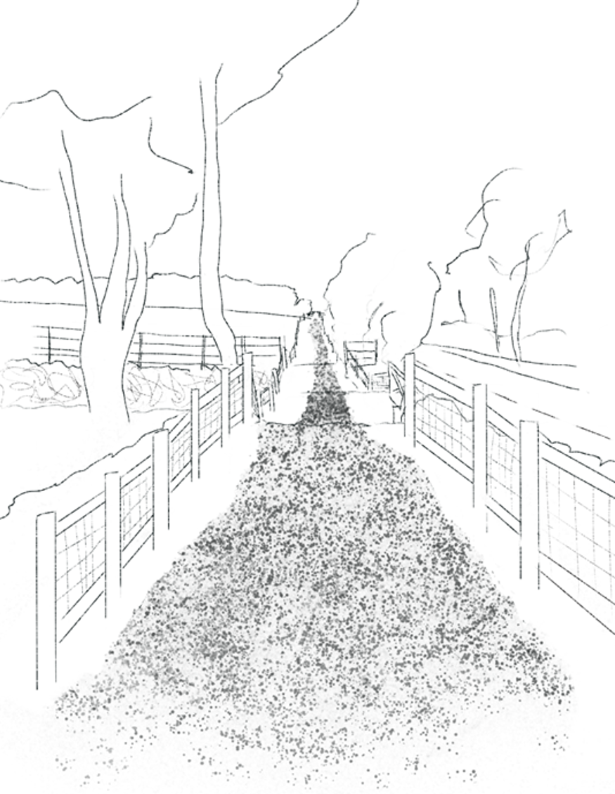 Illustration of the pathway through Orchard Nursery field.