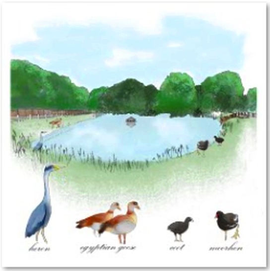 Wildlife by the water greeting card